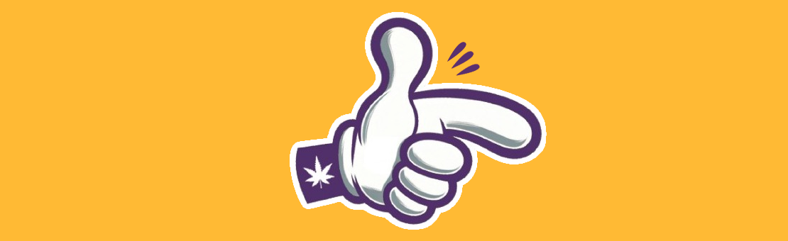 Découvrez notre entreprise et nos produits